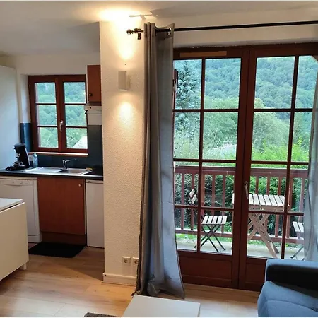 Apartamento A Avec Piscine Et Animaux Admis - Fr-1-812-94 Cauterets