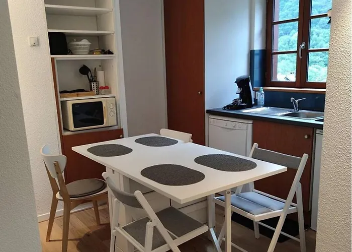 Apartament A Avec Piscine Et Animaux Admis - Fr-1-812-94